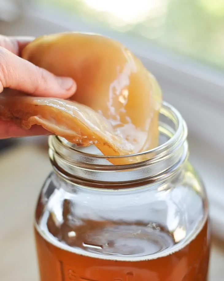 A hand lifting a bacterial cellulose sheet out of a glass jar